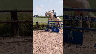 These are the moments for  TRI equestrian #horse #equestrian #showjumping #jumping #rider #pony