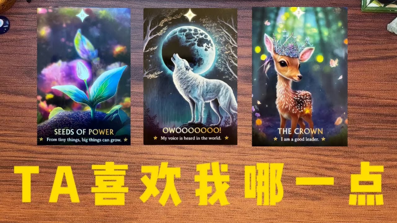 【神隐溪塔罗】TA喜欢我哪一点