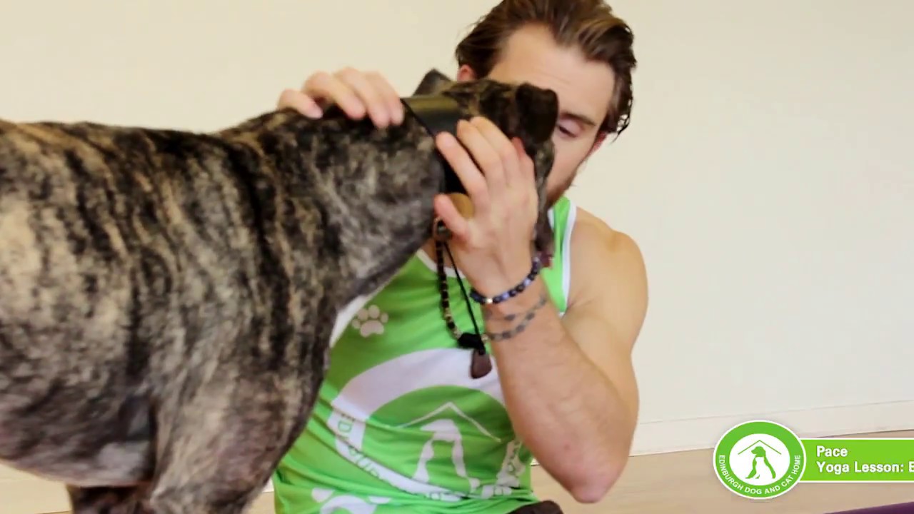 Doga for Beginners