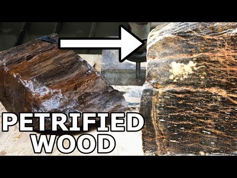 Petrified Wood Cut in Half with a 60,000 PSI Waterjet