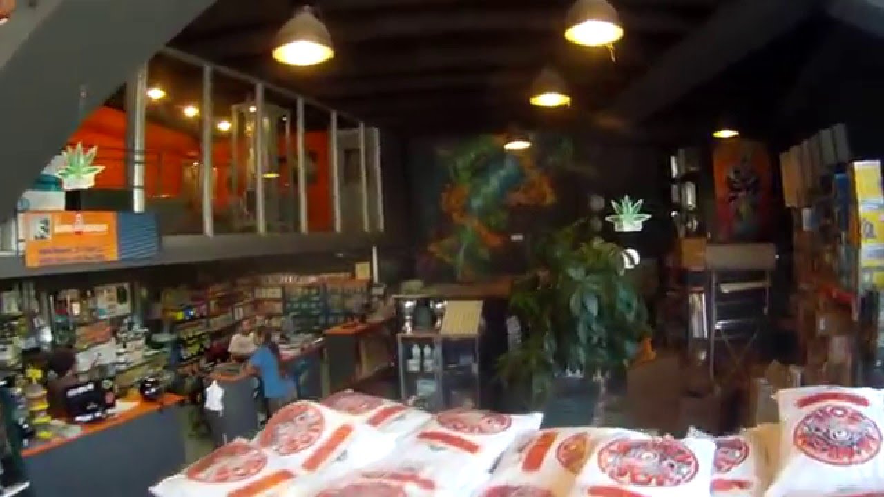 SATIVA WORLD "Fly Sitges Shop"