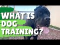 ドッグトレーニングとは?犬のしつけとは?