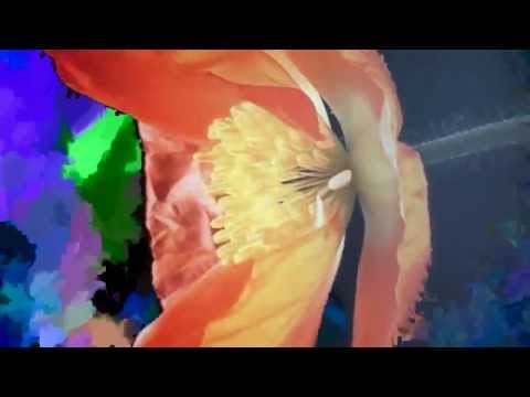 datamosh #1