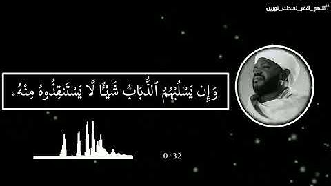 إِنَّ الَّذِينَ تَدْعُونَ مِنْ دُونِ اللَّهِ لَنْ يَخْلُقُوا ذُباباً وَ لَوِ اجْتَمَعُوا•••سورة الحج
