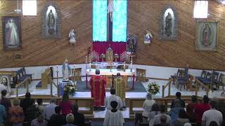 Holy Cross Catholic Church Live Stream