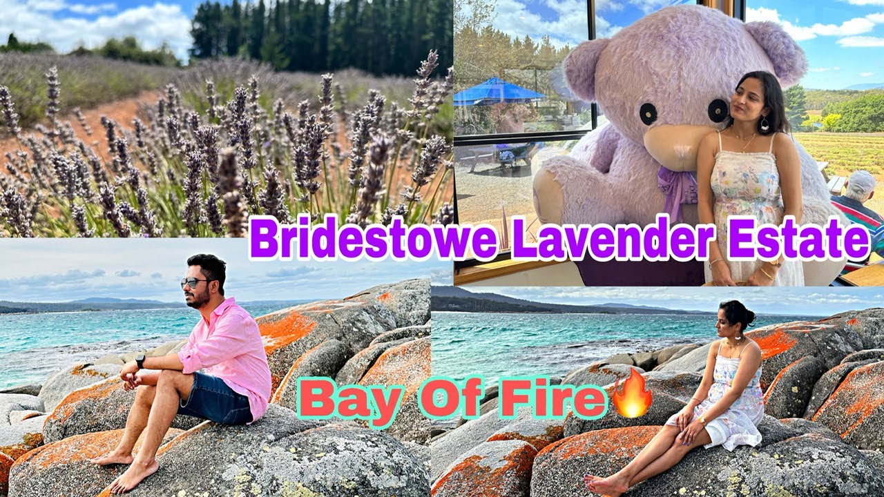 Tasmania vlog part-3| Bay of Fire 🌊🔥| World's largest Lavender farm