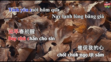 HOA VIỆT KARA | Karaoke Tone Nam Tình như lá bay xa  - Nhạc Hoa Lời Việt Vietsub song ngữ dễ hát