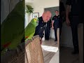 Parrot Roasts Police Officers During Interrogation 😂 | Funniest Talking Bird Ever!
