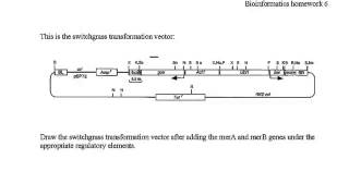 Bioinformatics assignment 6 Net Worth