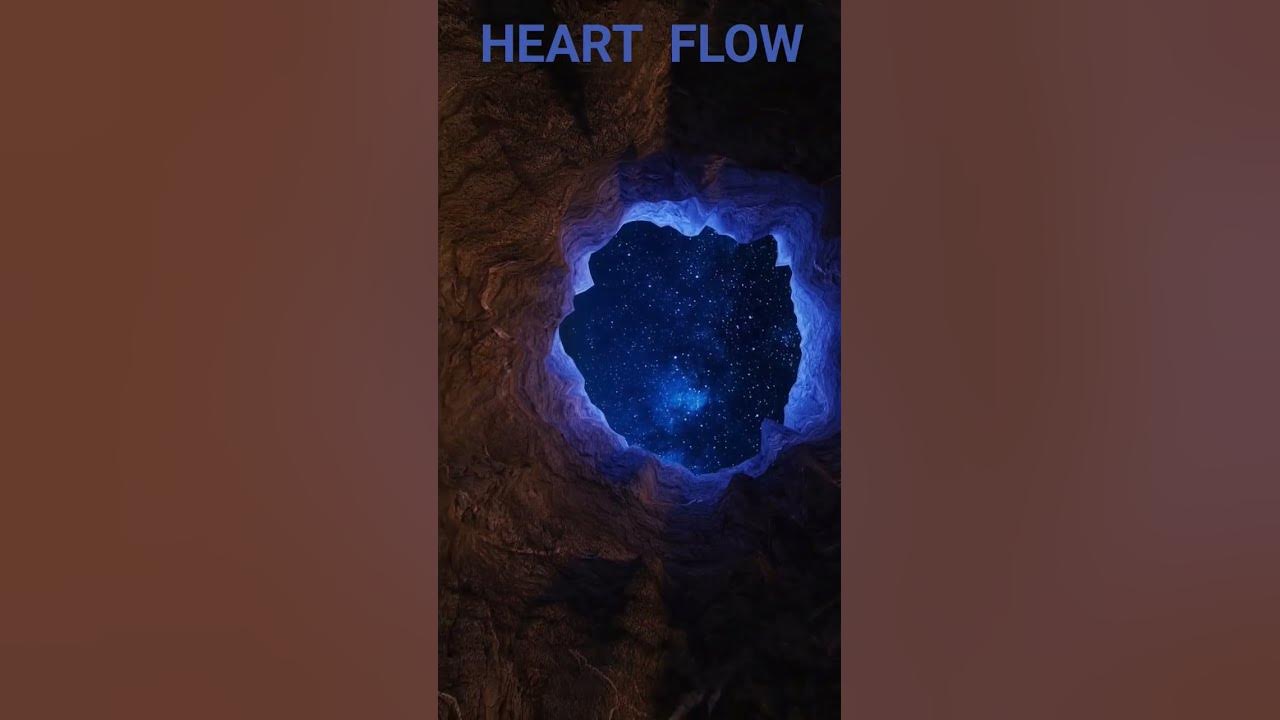 What Is Heart Flow What Is Heart Flow