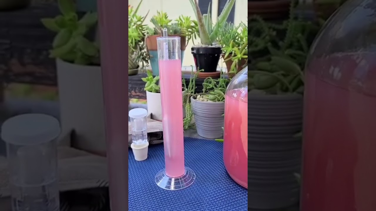 how to use a hydrometer to measure the ABV of your homemade wine