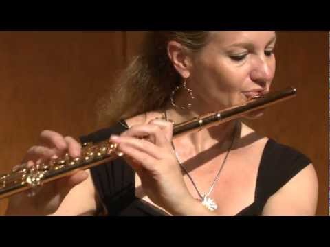 David Sampson - Undercurrents for solo flute