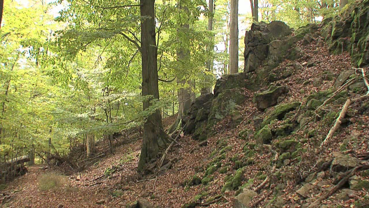 Lesnický park Křivoklátsko