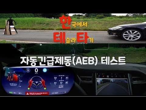 [테슬라 모델S] 자동긴급제동(AEB)을 테스트해보았습니다  (<strong>Tesla</strong> <strong>Model</strong> <strong>S</strong>)