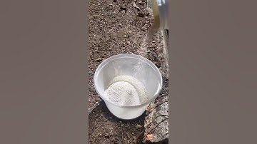 The dissadvantage of WG formulation - dust in the air during decanting