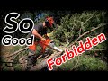 Husqvarna 562xp  best chainsaw you should not buy