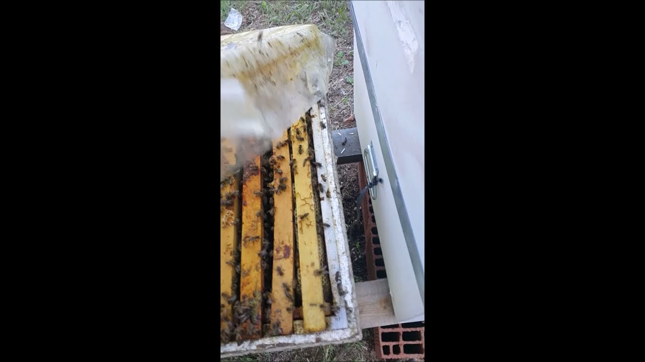 DEVŞİRME USULU BÖLME