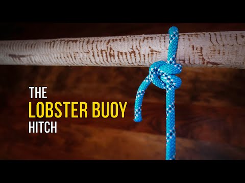 วีดีโอ: วิธีการทำชุด Lobster สำหรับสุนัขของคุณ