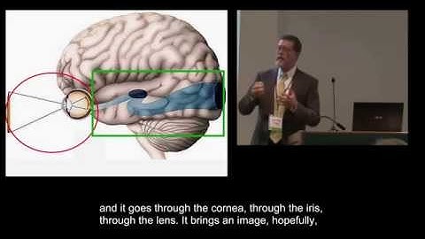 Part 2: Cortical/Cerebral Visual Impairment - What is it? with Darick Wright and Barry Kran
