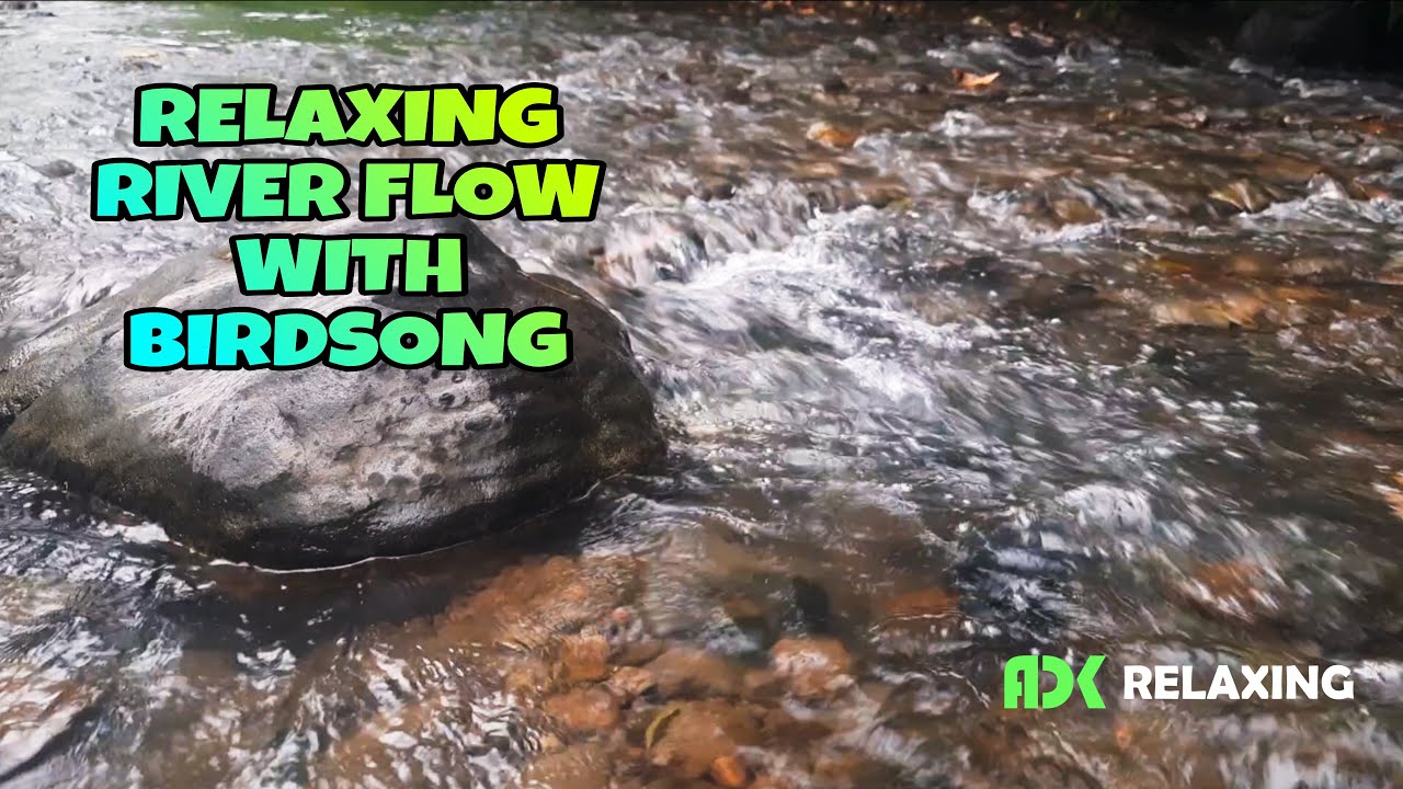 SUARA ALIRAN SUNGAI DENGAN KICAUAN BURUNG UNTUK RELAKSASI TERAPI AIR,PANCINGAN BURUNG,TERAPI BURUNG