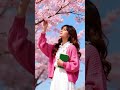 ##cherryflowers##tree ##sky