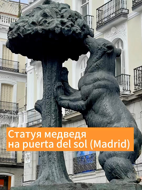 Статуя медведя в Мадриде.Не забудьте загадать желание 😜 #españa # ...
