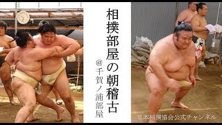 千賀ノ浦部屋の朝稽古 Youtube