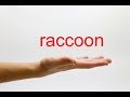How to Pronounce raccoon - American English