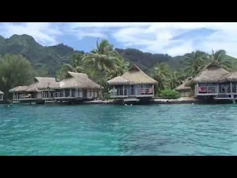 Wideo: Najlepsze Rzeczy Do Zrobienia W Moorea Na Tahiti W Polinezji Francuskiej