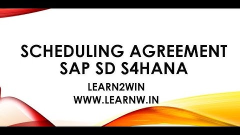 Scheduling Agreement sap sd | item category | low cost sap sd live project implementation training