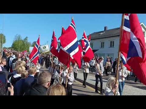 Видео: День независимости Норвегии отмечается в День Конституции