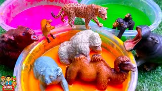 Wild animals Toys | muddy toys adventure | Animals in the Muddy Sandbox Kids Fun Learning