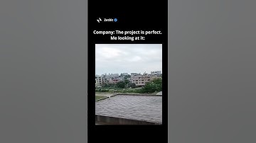 Company: The project is perfect. Me looking at it... #programmer #softwaredeveloper #coding