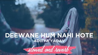 Deewane Hum Nahi Hote [Slowed and Reverb] | Aditya Yadav | Aahil World | Bollywood Lofi Mix