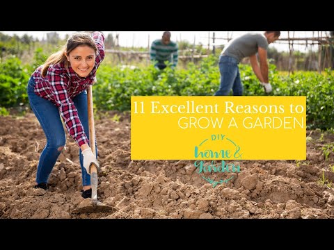 11 Excellent Reasons to Grow a Garden