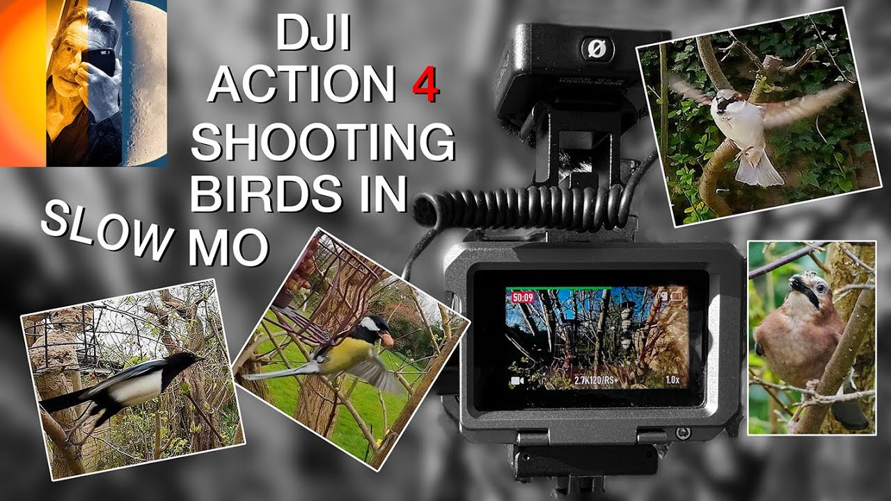 DJI Action 4 How I Film Garden Birds in Slow Motion - YouTube