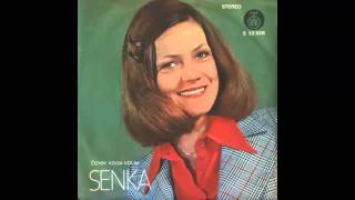 Senka Veletanlic - Covek koga volim - (Audio 1975) HD