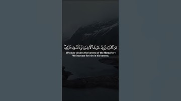 تلاوة خاشعة بصوت ماجد الحازمي | حالات واتس اب قران | الله لطيف بعباده يرزق من يشاء وهو القوى العزيز