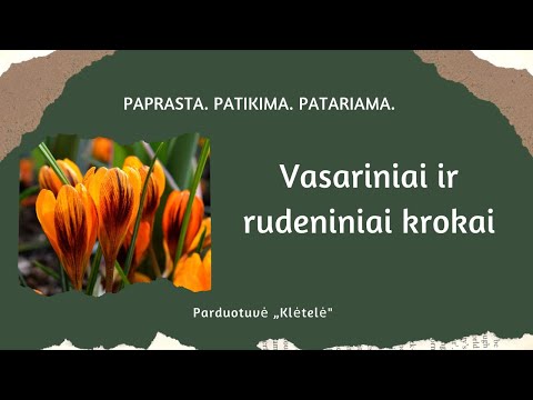 Video: Kokias Gėles Rinktis Pavasarį