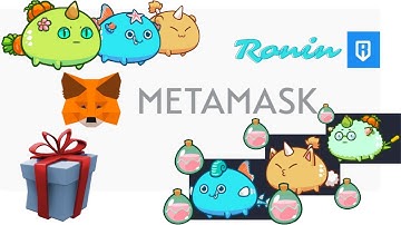 How to Set Up Wallets for 2 Axie Infinity Accounts on Ronin and MetaMask || Scholarship Set Up
