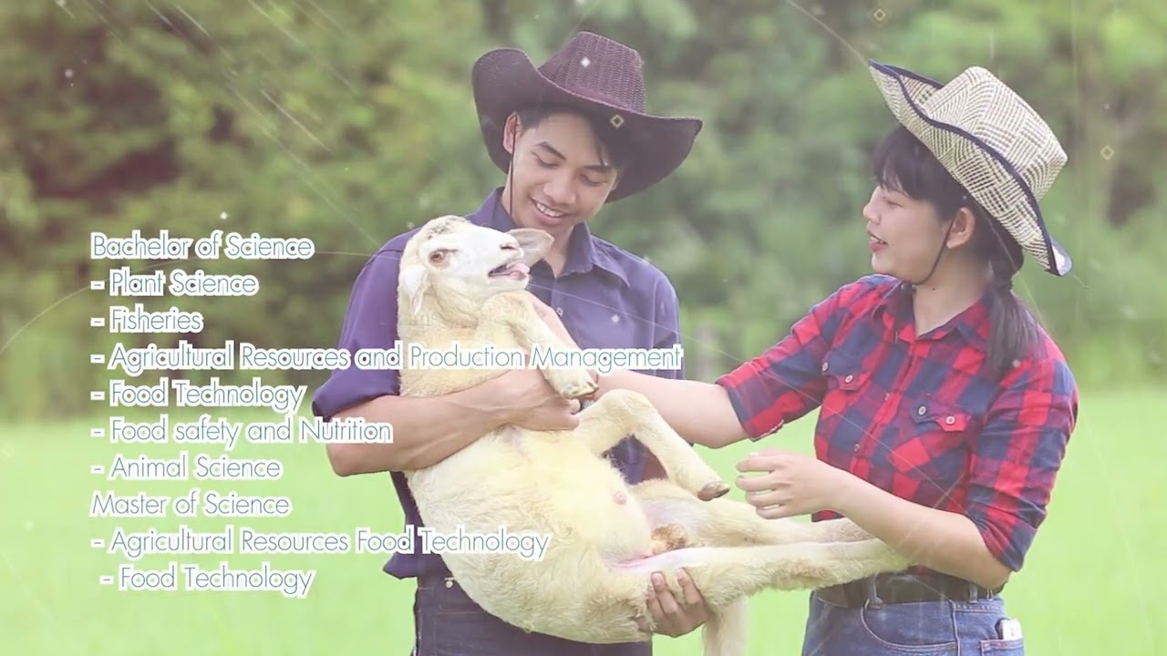 Present KU CSC ENG : มหาวิทยาลัยเกษตรศาสตร์ วิทยาเขตเฉลิมพระเกียรติ จังหวัดสกลนคร