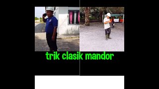 Video lucu kebun sawit