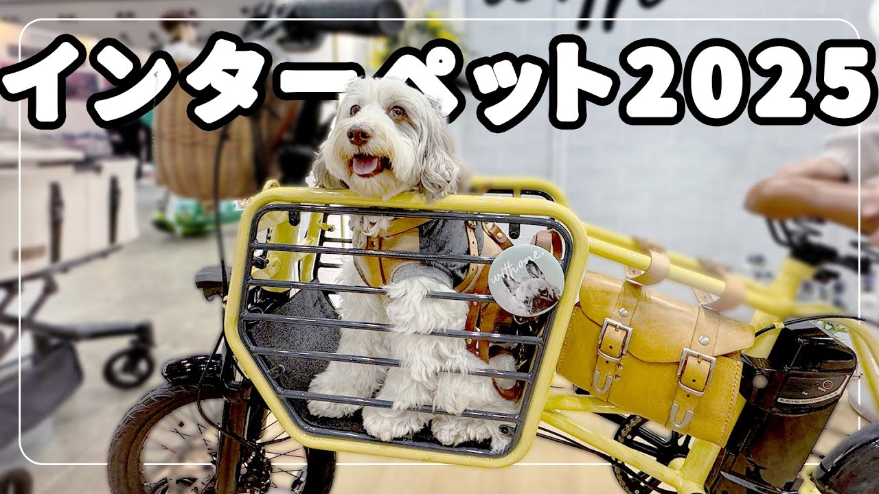 【初参戦！】インターペット2025に行ってきたよ！まったりと駐車場から購入品まで