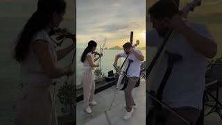 This wedding cocktail song changes the entire energy 👀🎻