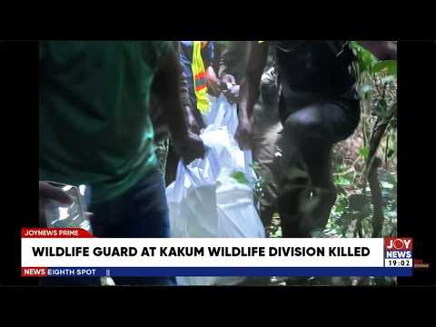 Suspected poachers kill wildlife guard during routine patrol in Kakum Forest | JoyNews Prime