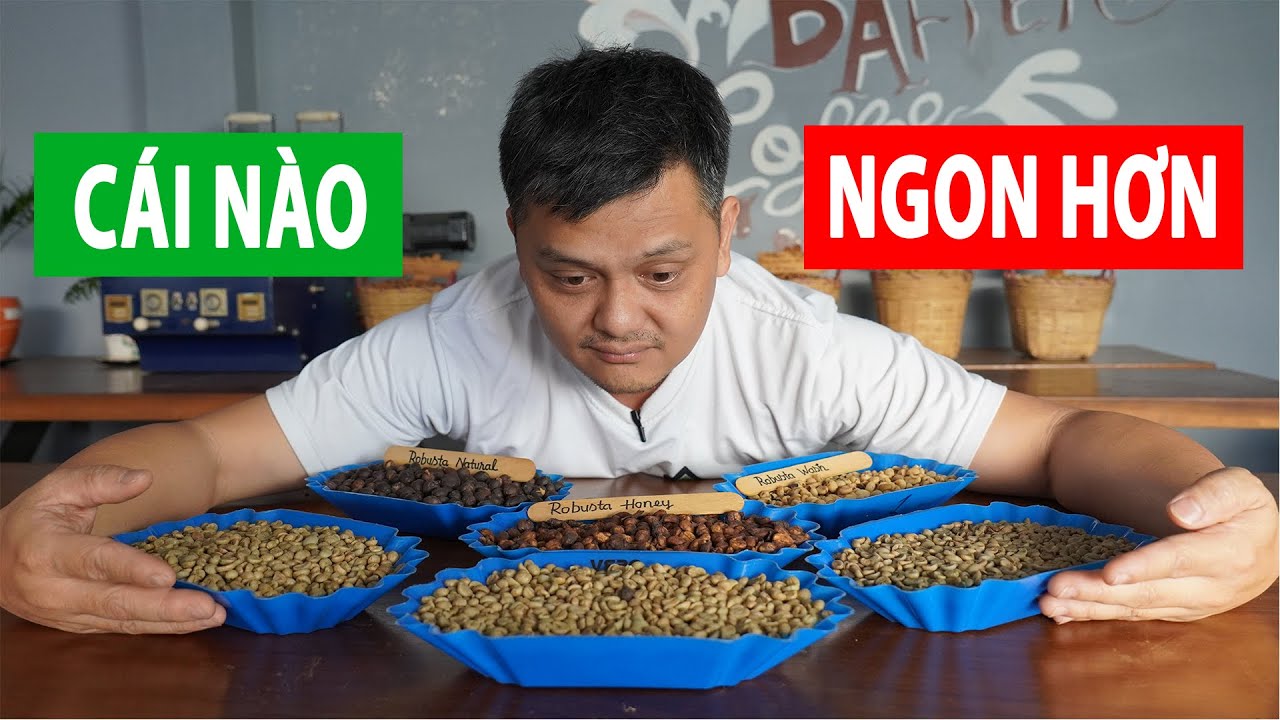 So sánh ROBUSTA WASH, HONEY và NATURAL - Cái Nào Ngon Hơn? - youtube