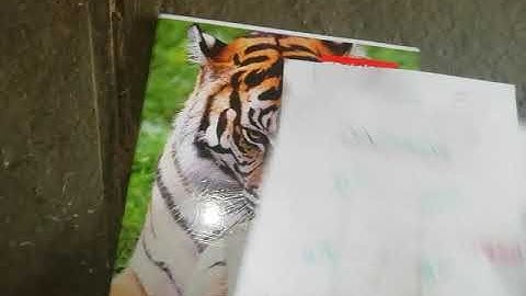 Interpolation of Contours By Prof. Halnure K.M.