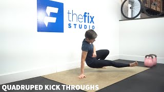 Quadruped Kick Throughs