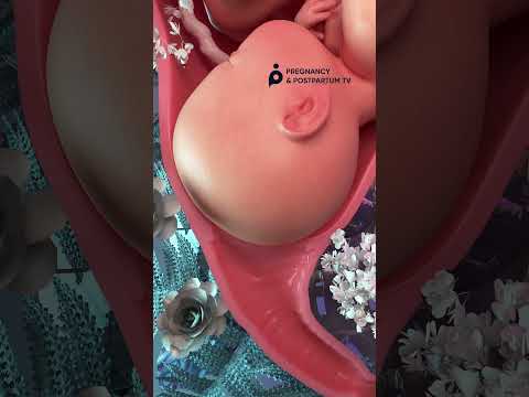  MAGICAL Cervical Dilation Effacement During Labor