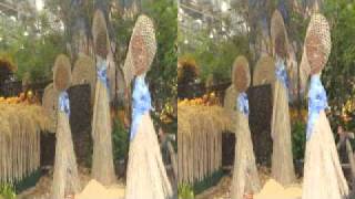 My Video 110825 Test I